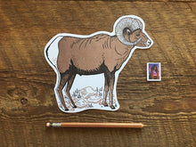 Bighorn Sheep Postcard