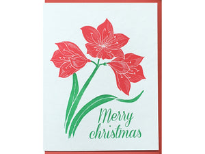 Merry Christmas Amaryllis Card