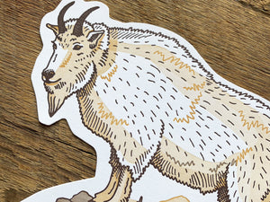 Mountain Goat Postcard