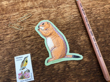 Prairie Dog Sticker