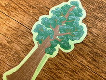 Sequoia Tree Sticker