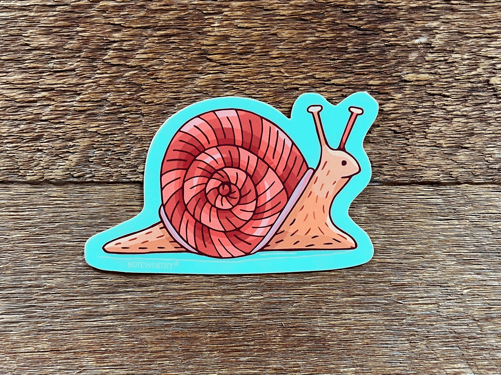 Snail Sticker – Noteworthy Paper & Press