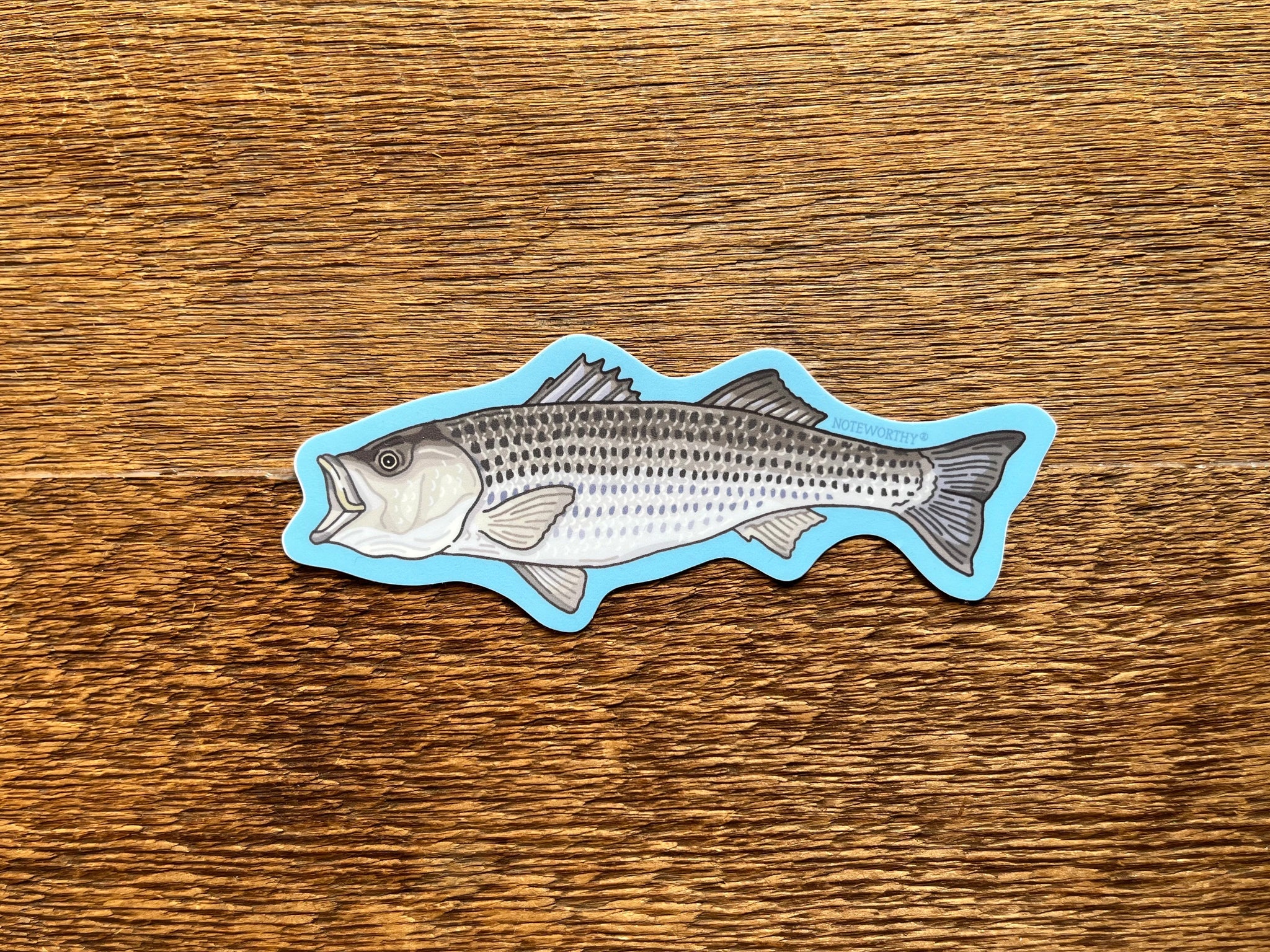 Striped Bass Sticker – Noteworthy Paper & Press