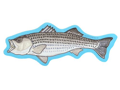 Striped Bass Sticker