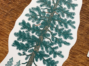 Pine Tree Postcard