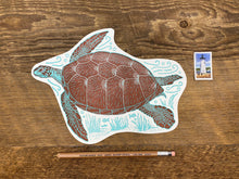 Sea Turtle Postcard