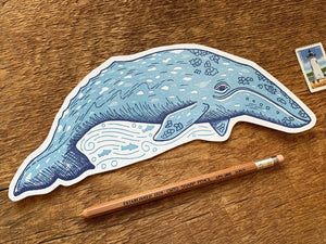 Gray Whale Postcard