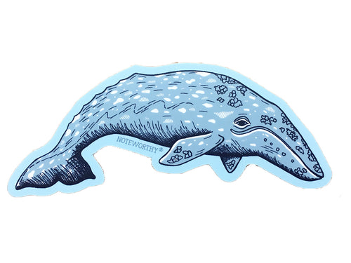 Gray Whale Sticker