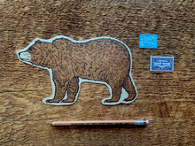 Yosemite Bear Postcard